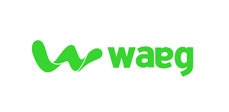 Salesforce partner Waeg