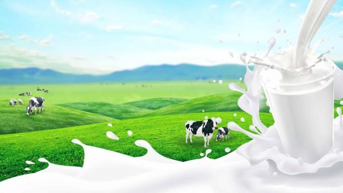 Hybrid cloud: Airtel Business, IBM deploy solution for five milk producers