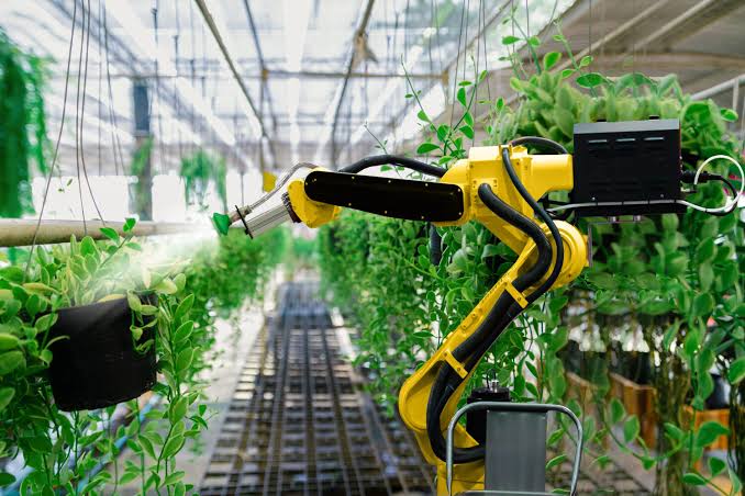 Artificial Intelligence risks to grow food are substantial