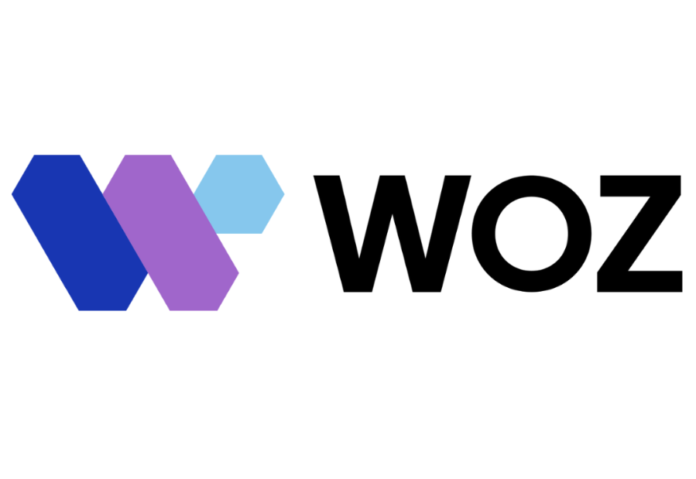 Introducing WOZ: Customer Data Platform Powered by AI