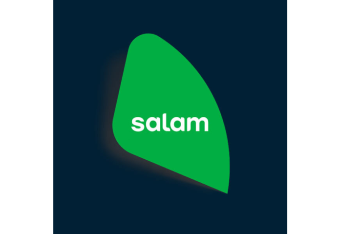 Salam Takes the Lead in Saudi Arabia's Fixed Broadband Race