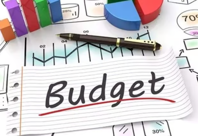 Pre-Budget Quotes: Interim Union Budget Expectations from Jidoka Technologies, ProcessIT Global and Gem Enviro Management