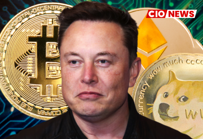 Elon Musk Discloses Dogecoin and Bitcoin Holdings at SpaceX
