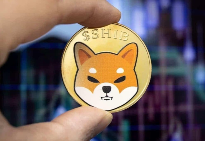 New Cryptocurrency $BUDZ: SHIB Rival Meme Coin Pumps Again