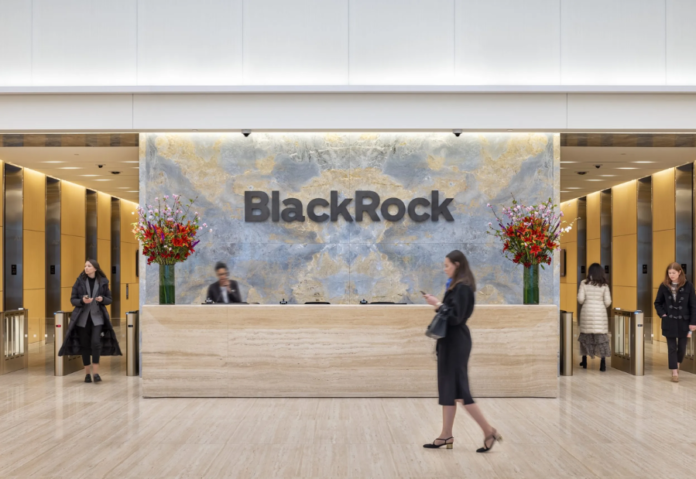 BlackRock is discussing investments to fuel AI with governments