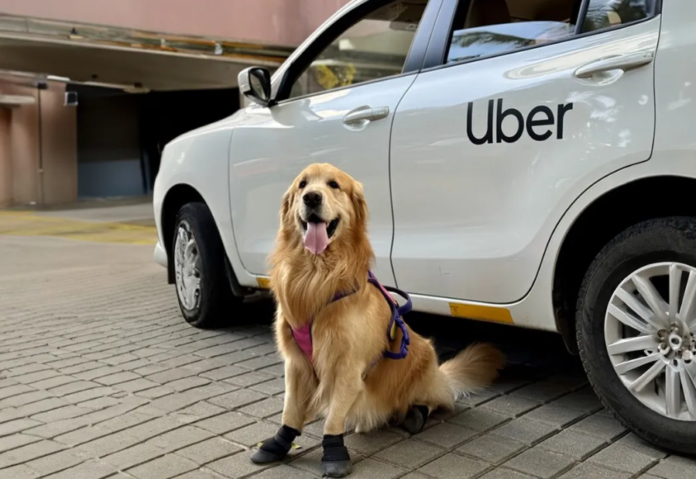 Uber Pet launches in Bangalore