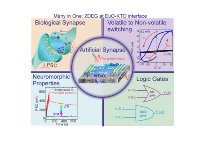 New artificial synaptic chip mimicking biological synapses to transform information technology