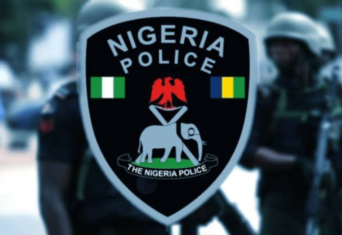 Nigeria Police Force arrested 113 foreign nationals on suspicion of cybercrime