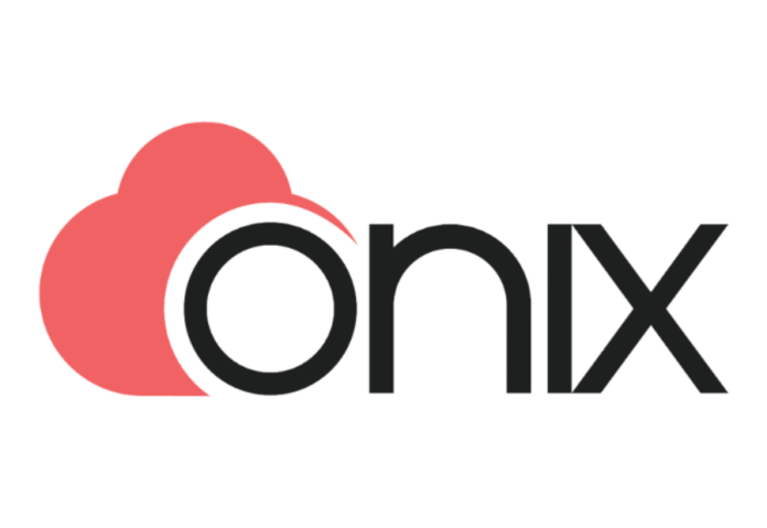 Onix reveals Kingfisher and Phoenix solutions to address data issues and speed up the implementation of AI