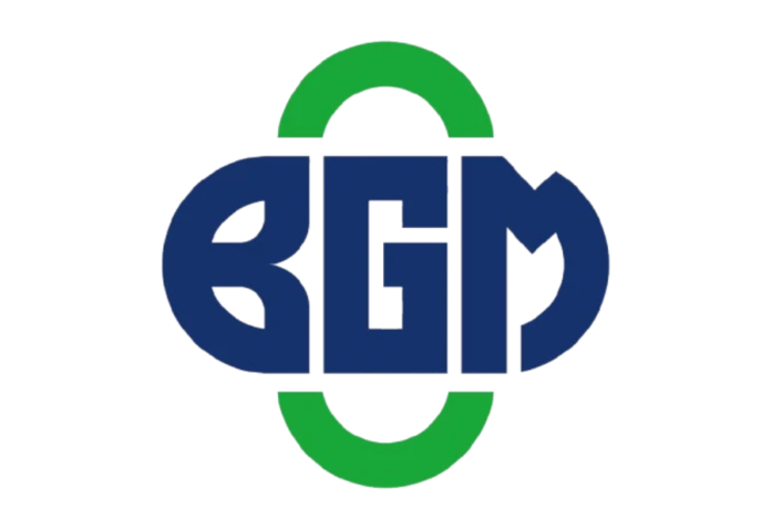 BGM Group Ltd Pioneers Innovation in AI Technology, Fostering Holistic Integration of Healthcare and Insurtech