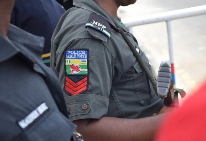 Nigerian Police Cybercrime Centre dismantled 5,049 malicious domains